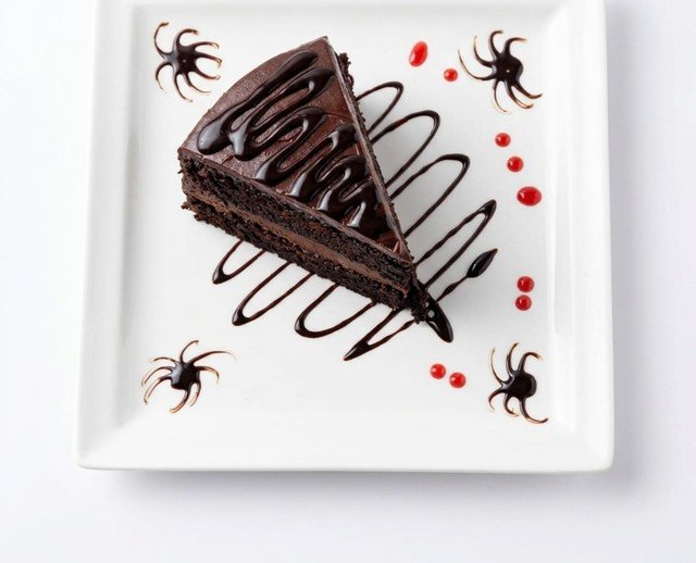 Double Chocolate Fudge Cake